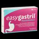 EASYGASTRIL KTBL - 24 Stück