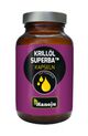 KRILL-OEL KPS 500MG HAN - 60 Stück