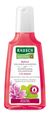 Rausch Malven Volumen-Shampoo - 200 Milliliter